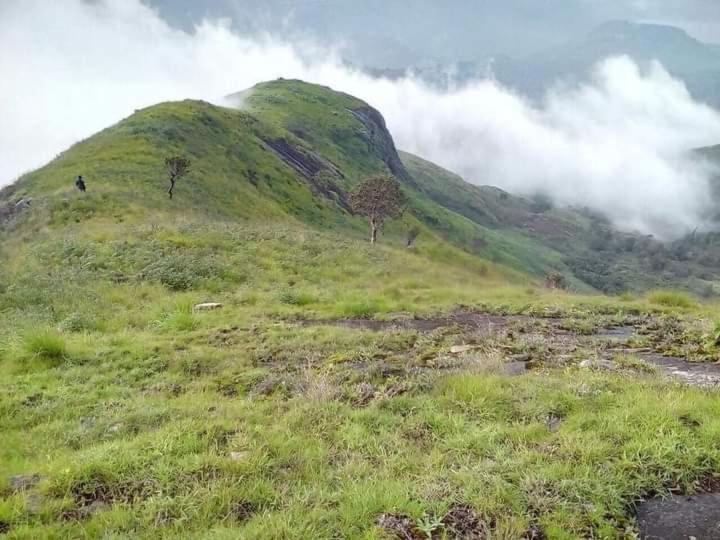Jungle Retreat Natural Stay Kombaikadu Kodaikanal Luaran gambar